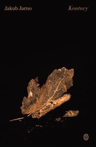 Okładka książki pt.: „Kontury”